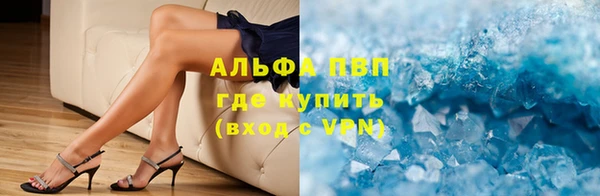 ГАЛЛЮЦИНОГЕННЫЕ ГРИБЫ Сосновый Бор