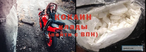 ГАЛЛЮЦИНОГЕННЫЕ ГРИБЫ Богданович