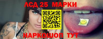 шишки Бийск