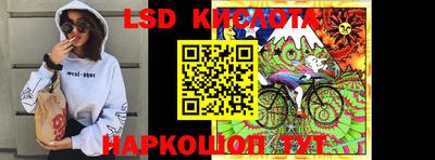 шишки Бийск