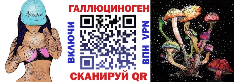 Псилоцибиновые грибы Psilocybe  Дагестанские Огни 