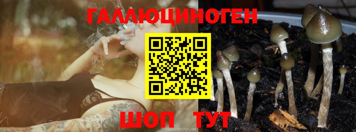 Галлюциногенные грибы мухоморы  Вход с VPN  Дагестанские Огни  Галлюциногенные грибы GOLDEN TEACHER 